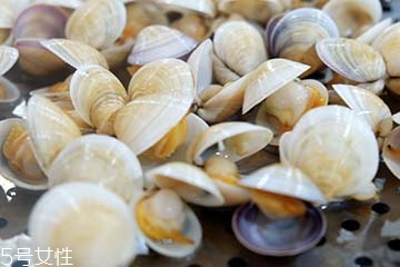文蛤是淡水還是海水？文蛤是淡水水產(chǎn)嗎？