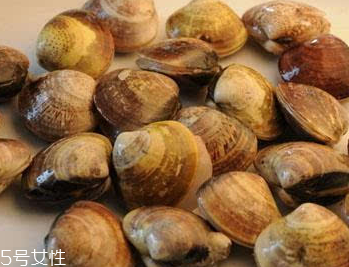 文蛤是冷水煮還是熱水？文蛤是用熱水嗎？