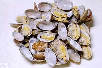 文蛤是冷水煮還是熱水？文蛤是用熱水嗎？