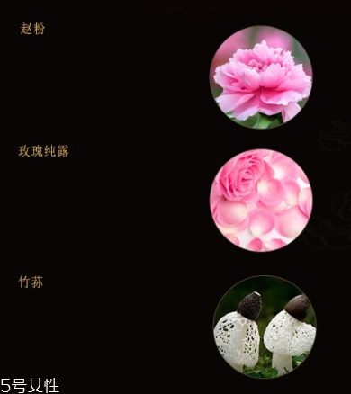 雙妹玉容眼霜怎么樣？雙妹玉容眼霜價格