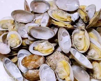 文蛤能做湯嗎？文蛤怎么做湯？