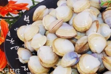 文蛤能放在冰箱里嗎?文蛤怎么保存？