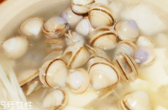 文蛤的食用禁忌 乳房囊腫能吃文蛤嗎？