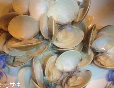 文蛤能給孕婦吃嗎？孕婦能不能吃文蛤？