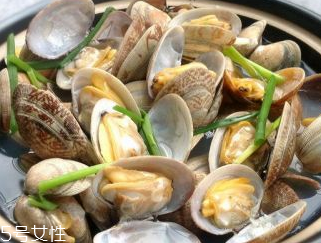 文蛤的養(yǎng)殖 文蛤怎么養(yǎng)？