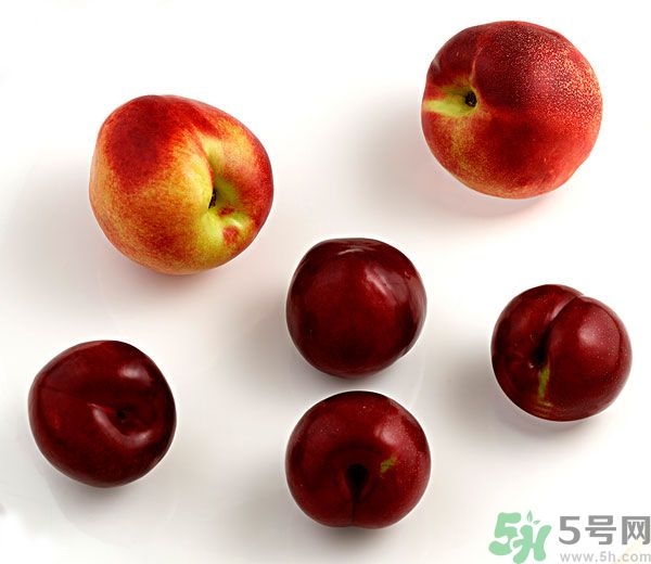 李子和灰子的區(qū)別？灰子的功效與作用