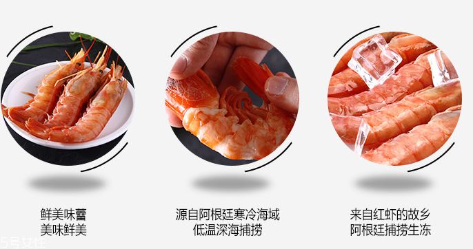 阿根廷紅蝦清蒸多久？阿根廷紅蝦清蒸幾分鐘？