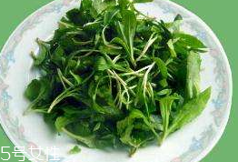 馬蘭頭對人的好處？馬蘭頭有什么好處？
