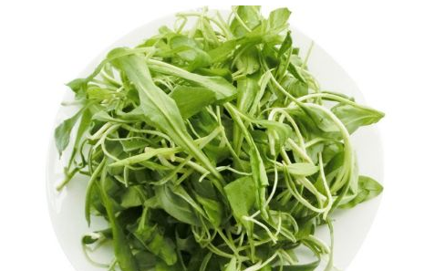 馬蘭頭是馬齒莧嗎？馬蘭頭和馬齒莧的區(qū)別