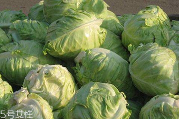 牛心菜是卷心菜嗎？牛心菜和卷心菜的區(qū)別
