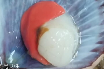 扇貝肉哪里不能吃？扇貝的月牙紅可以吃嗎？