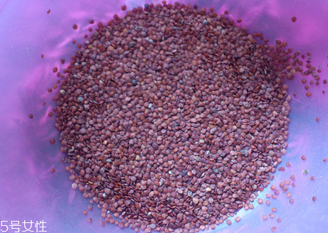 海藻面膜的功效與作用 用海藻面膜有什么好處？