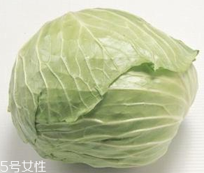 牛心菜能和蝦一起吃嗎？牛心菜和蝦的做法