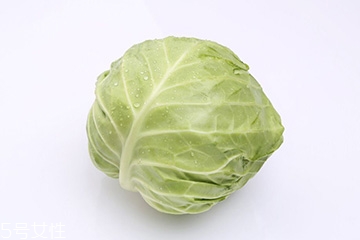 牛心菜是包菜嗎？牛心菜和包菜的區(qū)別