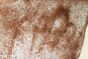 海藻面膜會(huì)發(fā)芽嗎？真的海藻面膜會(huì)發(fā)芽嗎？