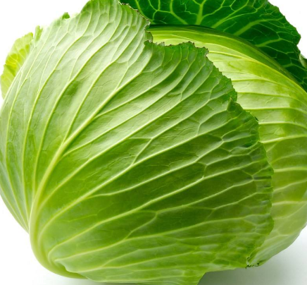 牛心菜能多吃嗎？牛心菜吃多了會怎樣？