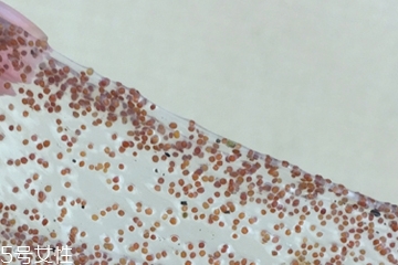 海藻面膜可以加維生素e嗎？海藻加維生素e可以用嗎？