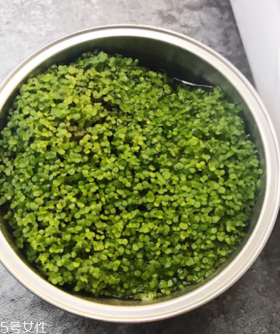 海藻面膜為什么會出膠？海藻面膜的膠是什么？