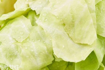 牛心菜是寒性還是熱性？牛心菜是寒性的嗎？