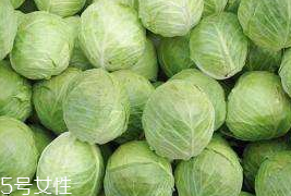 牛心菜和紫甘藍(lán)的區(qū)別 牛心菜和紫甘藍(lán)怎么分辨？