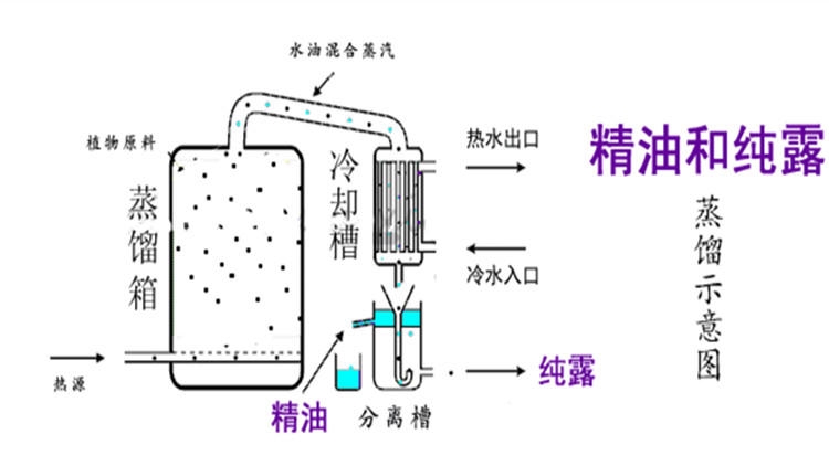純露怎么濕敷效果好？純露濕敷的正確步驟