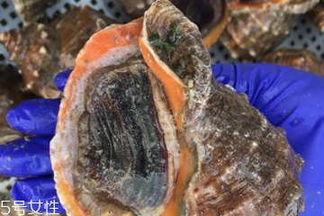 海螺開水還是冷水下鍋？海螺冷水還是熱水煮？