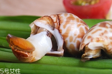 海螺能和西瓜一起吃嗎？海螺和西瓜能同食嗎？