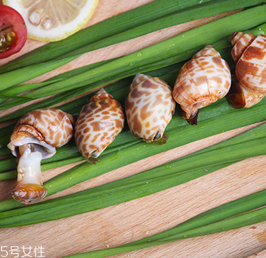 海螺能和西瓜一起吃嗎？海螺和西瓜能同食嗎？