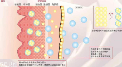頑固痘痘怎么消除？油皮為什么反復(fù)爆痘？