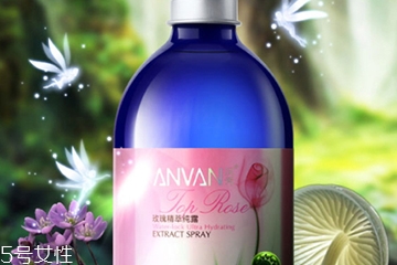 玫瑰水哪個牌子好？玫瑰水品牌推薦