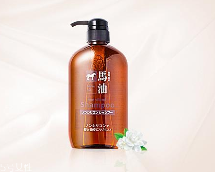 馬油洗發(fā)水是哪里產(chǎn)的？馬油洗發(fā)水是哪國的？