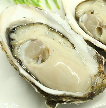 生蠔是蒸還是煮？生蠔蒸好吃還是煮好吃？