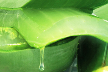 蘆薈水哪個(gè)牌子好？蘆薈爽膚水品牌推薦