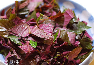 紫蘇葉能治皮膚過(guò)敏嗎？