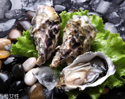 生蠔每天吃幾個最好？生蠔每日最佳食用量