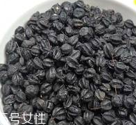刺五加怎么吃？刺五加有什么用？