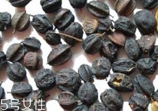 刺五加怎么吃？刺五加有什么用？