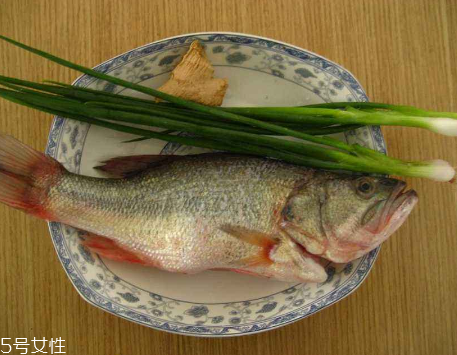 鱸魚(yú)開(kāi)水蒸還是冷水蒸 熱水下鍋