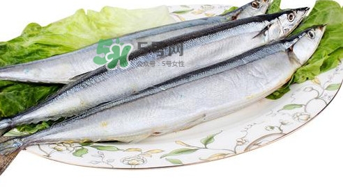 秋刀魚怎么處理？秋刀魚怎么挑選