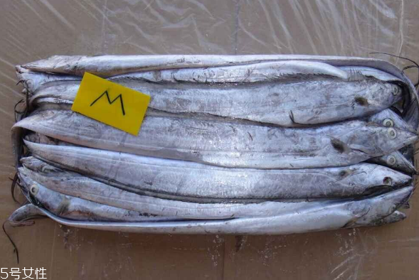 帶魚為什么沒有活的 因?yàn)閴毫Φ脑?/h1>

時(shí)間：2018-08-13 08:17:31 編輯：本站整理 828
分享至：



 c_4(); 
帶魚是很多人都喜歡吃的一種魚，紅燒帶魚香煎帶魚更是許多地方的特色菜，經(jīng)常買帶魚的人都發(fā)現(xiàn)了帶魚是買不到活的，下面介紹帶魚為什么沒有活的 因?yàn)閴毫Φ脑颉?/p>帶魚為什么沒有活的帶魚是生活在海洋中下層的魚類，盡管帶魚可以到水域上層捕食，說明能調(diào)節(jié)對(duì)壓力的承受力，但當(dāng)捕網(wǎng)離水面時(shí)，由于空氣中的壓力太小，一下子承受不了這種壓力而使魚體內(nèi)部造成致命的傷害，如鰾的突然膨脹以致破裂。所以，除了海洋研究人員，一般是見不著活帶魚的。帶魚小知識(shí)帶魚屬于脊索動(dòng)物門下脊椎動(dòng)物亞門中的硬骨魚綱鱸形目帶魚科。又叫刀魚、裙帶、肥帶、油帶、牙帶魚等，性兇猛。青島、日照黃海沿岸城市稱鱽魚。帶魚的體型側(cè)扁如帶，呈銀灰色，背鰭及胸鰭淺灰色，帶有很細(xì)小的斑點(diǎn)，尾巴呈黑色，帶魚頭尖口大，至尾部逐
漸變細(xì)，身高為頭長的2倍，全長1米左右。性兇猛，主要以毛蝦、烏賊為食。主要分布于西太平洋和印度洋，在中國的黃海、東海、渤海一直到南海都有分布，和大黃魚、小黃魚及烏賊并稱為中國的四大海產(chǎn)。帶魚的功效1.帶魚性味甘溫。具有補(bǔ)益五臟、養(yǎng)肝補(bǔ)血、祛風(fēng)殺蟲、暖胃潤膚、抑制血小板凝聚、降低血壓、降低膽固醇及健腦、防止大腦衰退的功能，對(duì)防治高血壓、高血脂、動(dòng)脈粥樣硬化、冠心病、腦血栓形成以及糖尿病、癌腫等癥，有較好的食療功效。2.帶魚中所含有的優(yōu)質(zhì)蛋白質(zhì)，由于質(zhì)地細(xì)膩、柔嫩，較家畜、禽動(dòng)物肉的蛋白更利于被機(jī)體消化、吸收和利用，不僅對(duì)青少年和兒童有促進(jìn)生長發(fā)育作用，而且對(duì)中、老年人有促進(jìn)強(qiáng)身健體、益壽之效。3.帶魚中所含的碘，除具有維持甲狀腺功能外，還具有促進(jìn)機(jī)體新陳代謝的作用。魚鱗中提取的6一硫代鳥嘌呤物質(zhì)，對(duì)抗癌有奇效。臨床用于治療急性白血病、胃癌、淋巴腺癌等癥，都取得了較理想的效果，并有提高機(jī)體免疫力、增強(qiáng)體質(zhì)、抗疲勞的作用。蘿卜絲燒帶魚的做法蘿卜絲燒帶魚也是經(jīng)典的帶魚的家常做法之一，下面為大家講解一下蘿卜絲燒帶魚這道菜的做法。1、 把帶魚剖腹去內(nèi)臟和魚鰭，去頭和尾巴，洗凈。2、用剪刀剪成一段段瀝干水分。3、 把白蘿卜去皮用檫子檫成細(xì)絲備用。4、熱鍋下油，油多放點(diǎn) ，放入帶魚，用小火煎成兩面金黃色盛出備用。5、鍋里留底油，放入姜蒜沫爆香，接著放入蘿卜絲翻炒，等到蘿卜絲變軟后放入煎好的帶魚。6、在鍋里加入適量的料酒和水。蓋上鍋蓋悶煮一會(huì)。等湯汁有點(diǎn)收干時(shí)放入鹽和味精調(diào)味，撒上蔥花即可出鍋。帶魚的脂肪含量高于一般魚類，且多為不飽和脂肪酸，這種脂肪酸的碳鏈較長，具有降低膽固醇的作用;帶魚全身的鱗和銀白色油脂層中還含有一種抗癌成分6-硫代鳥嘌呤，對(duì)輔助治療白血病、胃癌、淋巴腫瘤等有益;經(jīng)常食用帶魚，具有補(bǔ)益五臟的功效;帶魚含有豐富的鎂元素，對(duì)心血管系統(tǒng)有很好的保護(hù)作用，有利于預(yù)防高血壓、心肌梗死等心血管疾病。常吃帶魚還有養(yǎng)肝補(bǔ)血、澤膚養(yǎng)發(fā)健美的功效。
炸的外酥里嫩的帶魚融合絲絲香甜的白蘿卜絲，是非常討喜的一種口味。 

 b_4(); 


釣黃顙魚用什么打窩 牛羊骨頭或雞鴨肝臟
帶魚肉散是怎么回事 原來是這樣

網(wǎng)站首頁
返回欄目

標(biāo)簽：帶魚

相關(guān)文章

1帶魚怎么做好吃又簡(jiǎn)單 帶魚怎么炸好吃浏览:3468 2超市買的帶魚需要處理嗎 紅燒帶魚怎么做好吃浏览:1万+ 1帶魚魚籽能吃嗎 帶魚魚籽怎么做好吃 2油帶魚和普通帶魚的區(qū)別 紅燒帶魚怎么做好吃 3黑眼帶魚和黃眼帶魚哪個(gè)好 黑眼帶魚和黃眼帶魚有什么區(qū)別 4帶魚生長在什么環(huán)境里呢 帶魚的熱量有多少呢 5帶魚的熱量是多少呢 孕婦可以吃帶魚嗎 6帶魚有什么營養(yǎng)價(jià)值呢 吃帶魚有什么好處呢 


熱門文章
巴沙魚到底能不能吃？吃巴沙魚有什么危害嗎

C位是什么意思？明星站C位是什么意思娛樂圈中是非多，近期讓C位這個(gè)詞都火爆得不行。那么，C位是什么意思……
腌咸雞蛋一斤放多少鹽？腌咸雞蛋10斤需多少鹽？
豬各部位肉的名稱圖片全解
鮮百合吃多了會(huì)中毒嗎?鮮百合的吃法禁忌
木耳要焯水嗎?木耳怎么焯水?

手搟面的做法 手搟面怎么做勁道
金駿眉產(chǎn)于哪里 金駿眉什么味道

低糖水果有哪些？十大低糖水果排行榜每種水果，都含有豐富的維生素、礦物質(zhì)和其他營養(yǎng)元素，經(jīng)常吃對(duì)身體……
海螺怎樣吃才正確圖解？海螺哪里不能吃圖示
麥飯石鍋有害嗎？麥飯石鍋的危害
海螺哪個(gè)部位不能吃 海螺不能吃的部位圖解
干木耳過期了還能吃嗎？干木耳保質(zhì)期是多久？

孕婦可以吃香螺嗎 哺乳期可以吃香螺嗎

5H跟帖 
















網(wǎng)友評(píng)論僅供其表達(dá)個(gè)人看法，并不表明5h立場(chǎng)。





		var mydate = new Date();
		var year = mydate.getFullYear();
		var month = mydate.getMonth();
		var day = mydate.getDate()
		var nowdate = year+"-"+month+"-"+day
		
		$("#imageField").click(function(){
			var commentcont = $(".comment-text").val();
			if($(".comment-text").val()==""){
				alert("您沒什么話要說嗎？");
			}else{
				var data = {
					nomember:1,
					saytext:commentcont,
					id : $("#id").attr("value"),
					ecmsfrom : $("#ecmsfrom").attr("value"),
					classid : $("#classid").attr("value"),
					enews : $("#enews").attr("value"),
					repid : $("#repid").attr("value")
				};				
				$.ajax({
					type: "POST",
					url: "/e/pl/doaction.php",
					data: data,
					dataType:'text',
					success: function(msg){
						$(".comment-text").val("");
						$(".comment-body").prepend('<li><div   id="77ffb77"   class="combd-title"><span id="thpfldj"    class="title">本站網(wǎng)友:匿名</span><span id="xbfb7rf"    class="time">'+nowdate+'</span></div><p class="combd-bd">'+commentcont+'</p></li>')
					}
				});
			}	
		})	
	
 
