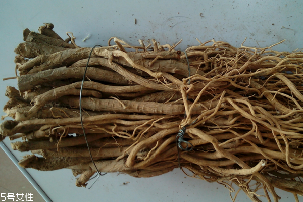 黃芪為什么會(huì)生蟲 這個(gè)是正?，F(xiàn)象