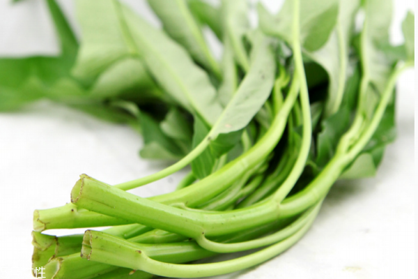 空心菜吃多了會怎樣 兩個(gè)壞處