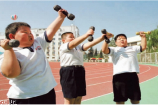 應(yīng)該注意小孩脂肪和膽固醇的攝取量嗎？