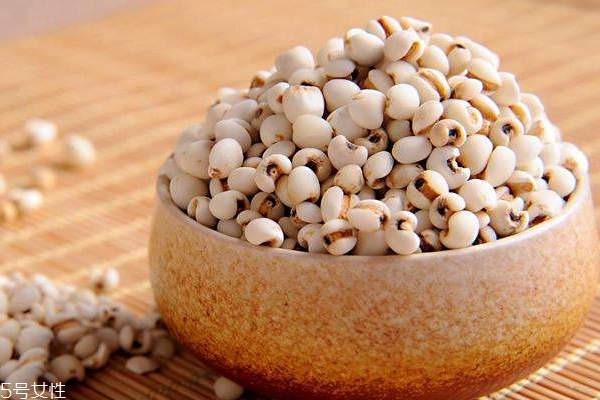 薏米是什么氣味 薏米過(guò)期是什么氣味