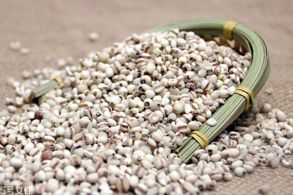薏米是什么氣味 薏米過(guò)期是什么氣味