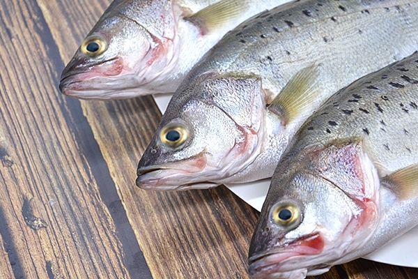 海鱸魚(yú)怎么處理 這樣最干凈