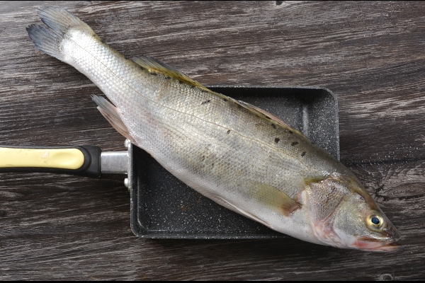 海鱸魚(yú)怎么處理 這樣最干凈