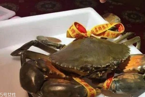 三門青蟹什么時候上市 三門青蟹的特點(diǎn)