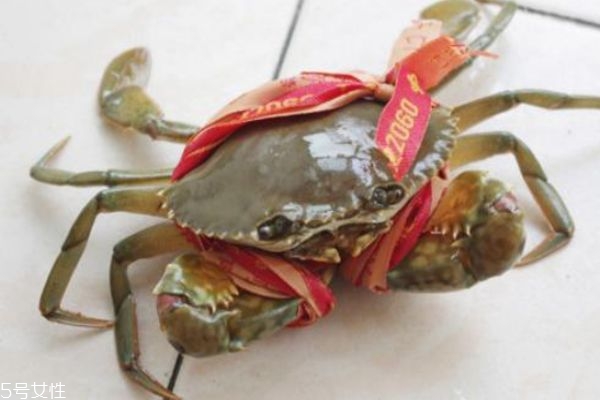 三門青蟹什么時候上市 三門青蟹的特點(diǎn)