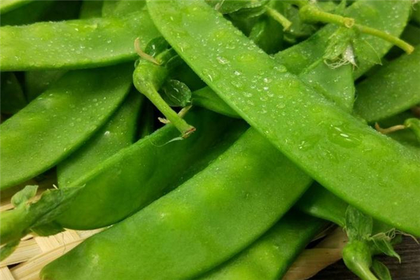 荷蘭豆和木耳可以一起炒嗎 沒(méi)有不利影響